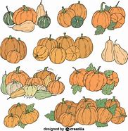 Image result for Pumpkin Patch Vector