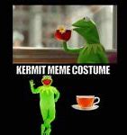 Image result for Meme Costume Ideas