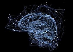 Image result for Electric Map of the Brain