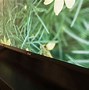 Image result for LG Smart TV Back Panel