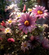 Image result for 4K Ultra HD Flowers