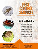 Image result for Pest Control Flyer Template