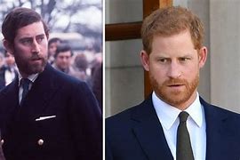 Image result for Prince Charles and Harry Beard