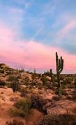Image result for Arizona Cactus Scenery