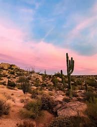 Image result for Arizona Desert Sunset