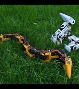 Image result for Robotic Snake