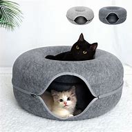 Image result for Cat Donut Tunnel