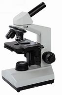 Image result for Microscopy Biology