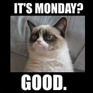 Image result for Welcome Monday Meme