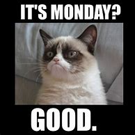 Image result for Monday Work Meme Funny