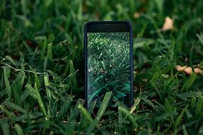 Image result for iPhone On Table Images