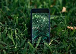 Image result for Green iPhone