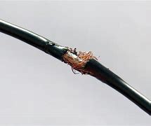 Image result for Broken Wire Whisk