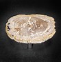 Image result for Petrified Wood Coffee Table