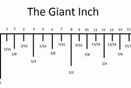 Image result for What Is 8Mm in Inches