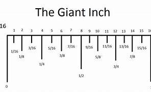 Image result for How to Read Inches On a Ruler