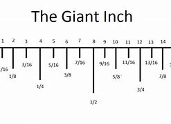 Image result for 5 8 in Inches