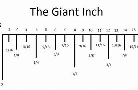Image result for How Big Is Two Inches