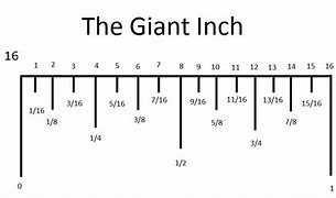 Image result for What Is 5 3 in Inches