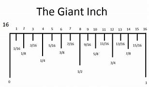 Image result for How Big Is 16 Inc