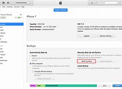 Image result for How to Lock iPhone for Backup