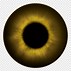 Image result for Yellow Eyes Cartoon