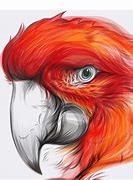 Image result for Free Art Drawing Apps