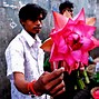 Image result for Biggest Flower in the World vs Human