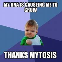 Image result for Meme Re DNA