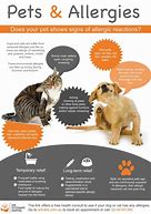 Image result for Pet Environmental Allergies