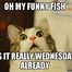 Image result for Wednesday Dad Jokes
