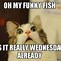 Image result for Sarcastic Wednesday Memes