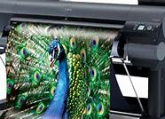 Image result for Wide Format Plotter Printer
