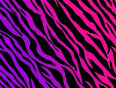 Image result for Cheetah Zebra Print Backgrounds