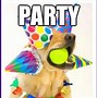 Image result for Birthday Cat Funny Cute Memes