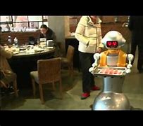 Image result for Cat Robot Waiter