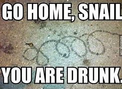 Image result for Go Home Funny