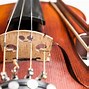 Image result for Different String Instruments