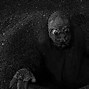 Image result for Mole People Movie