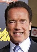 Image result for Arnold Schwarzenegger Hair