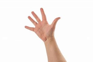 Image result for Hand Showing 5