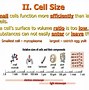 Image result for The Smallest Cell in Organisms