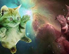 Image result for Funny Space Cat
