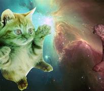 Image result for Outer Space Cat