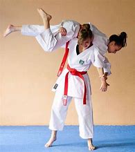Image result for Girl Fight Martial Arts
