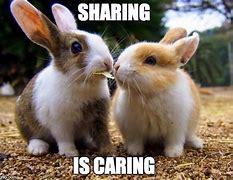 Image result for Sharing Is Caring Pirate Meme
