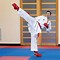 Image result for Karate Kumite