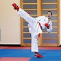 Image result for The Kumite Stance