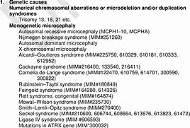 Image result for Congenital Microcephaly