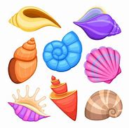 Image result for Dessin Mer Coquillage